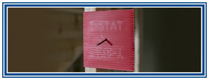 Thermo Ruff Plates